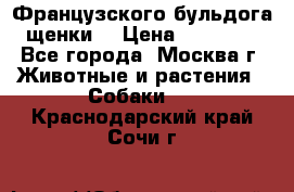 Французского бульдога щенки  › Цена ­ 35 000 - Все города, Москва г. Животные и растения » Собаки   . Краснодарский край,Сочи г.